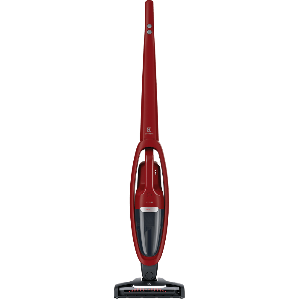 ERG36