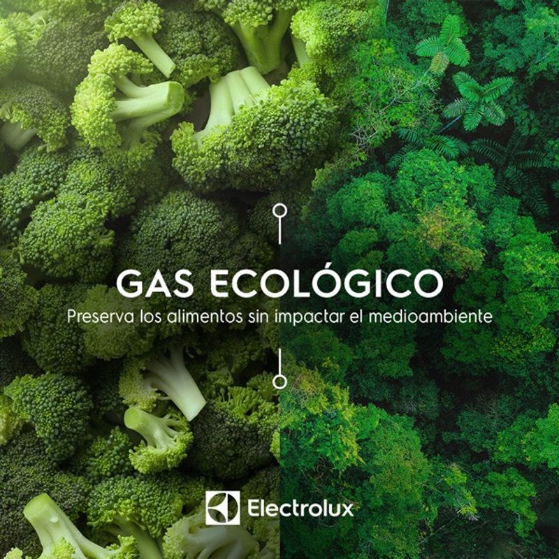 R600_Electrolux_Logotipo_Spanish_600X600-600x600