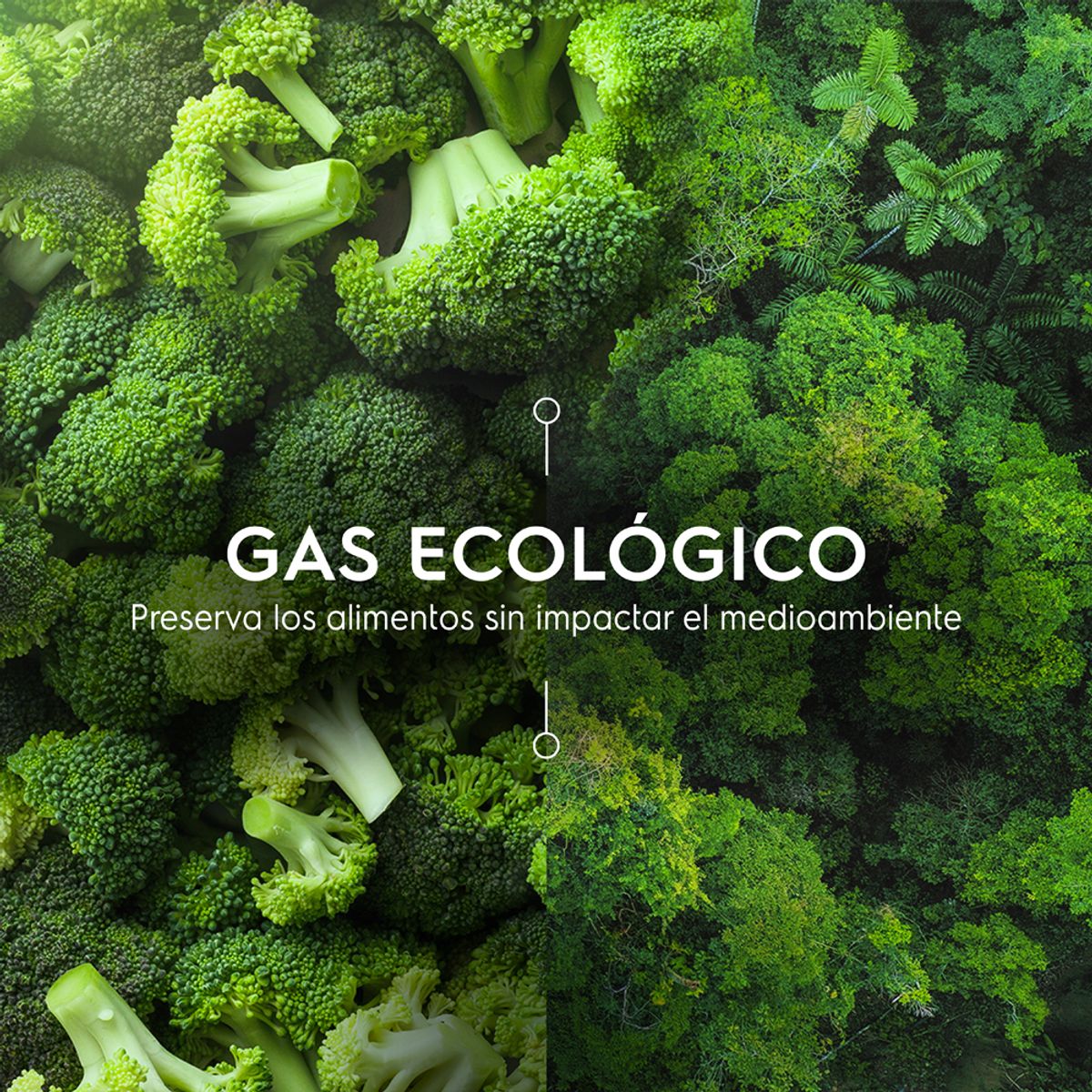 Refrigerator_GasEcologico_Electrolux_Spanish.jpg