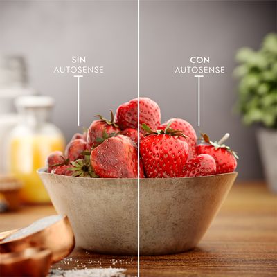 Refrigerator_Autosense_Electrolux_Spanish.jpg
