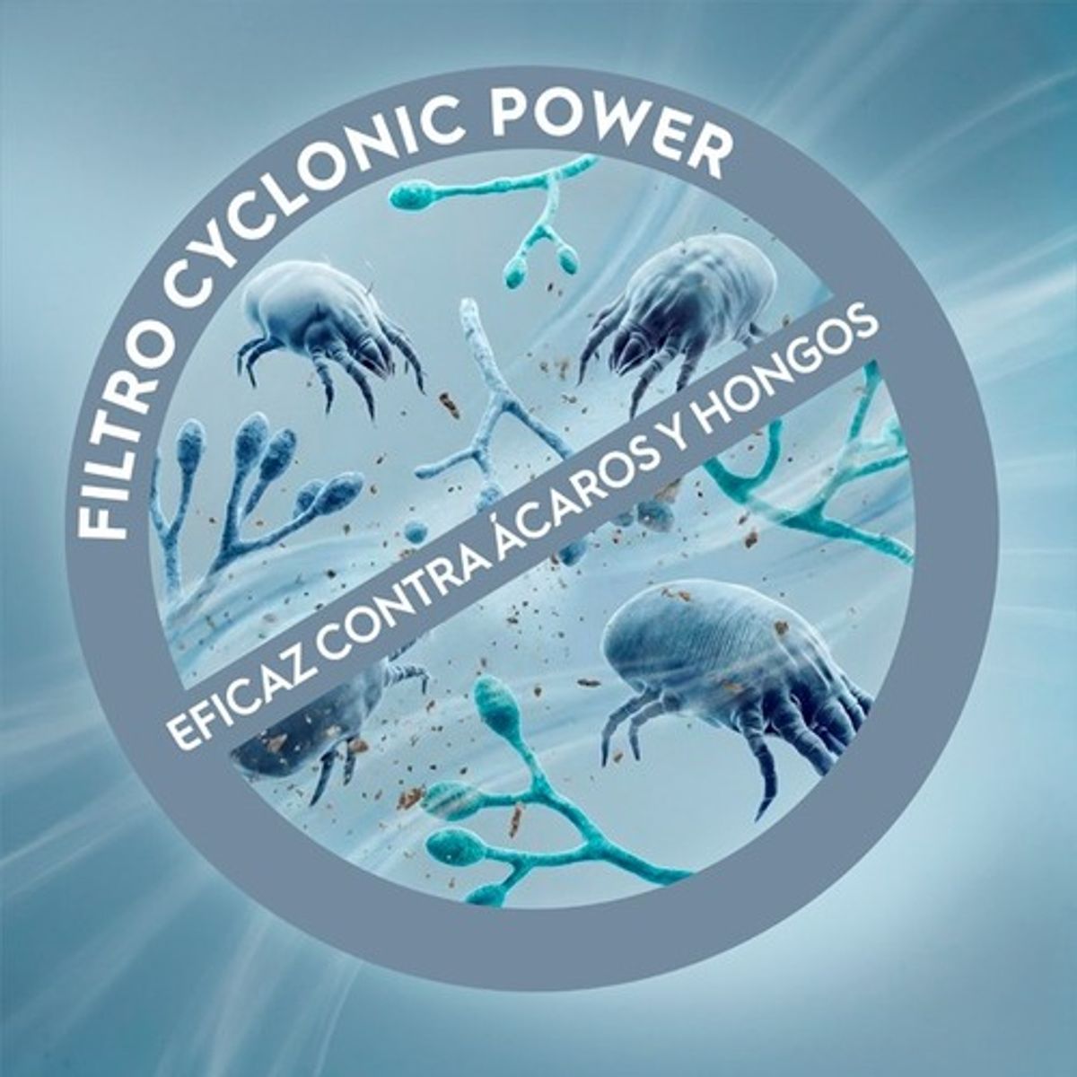 VacuumFilter_Electrolux_Spanish_600x600-500x500